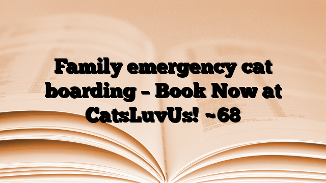 Family emergency cat boarding – Book Now at CatsLuvUs!