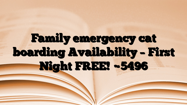 Family emergency cat boarding Availability – First Night FREE!