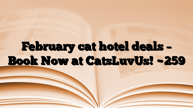 February cat hotel deals – Book Now at CatsLuvUs!