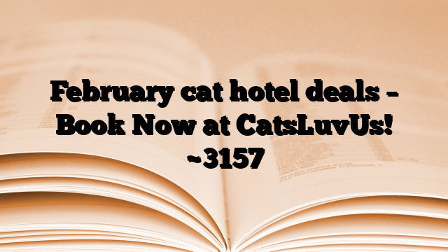 February cat hotel deals – Book Now at CatsLuvUs!