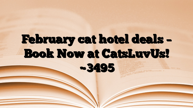 February cat hotel deals – Book Now at CatsLuvUs! ~3495