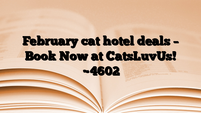 February cat hotel deals – Book Now at CatsLuvUs!