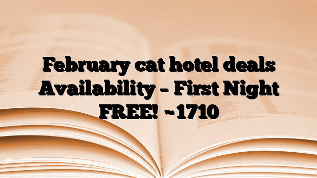 February cat hotel deals Availability – First Night FREE!