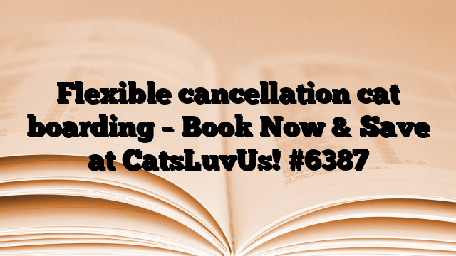 Flexible cancellation cat boarding – Book Now & Save at CatsLuvUs!