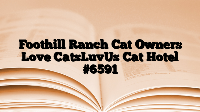 Foothill Ranch Cat Owners Love CatsLuvUs Cat Hotel
