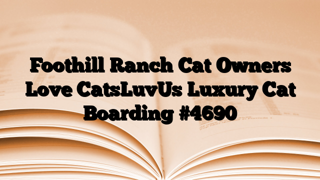 Foothill Ranch Cat Owners Love CatsLuvUs Luxury Cat Boarding