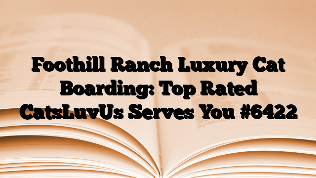 Foothill Ranch Luxury Cat Boarding: Top Rated CatsLuvUs Serves You