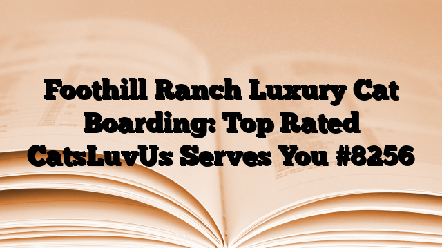 Foothill Ranch Luxury Cat Boarding: Top Rated CatsLuvUs Serves You