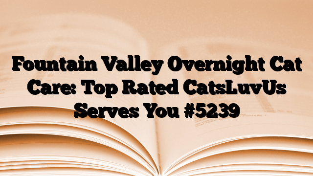 Fountain Valley Overnight Cat Care: Top Rated CatsLuvUs Serves You