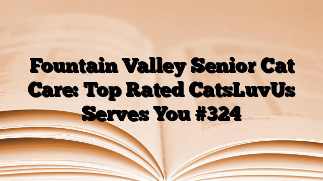 Fountain Valley Senior Cat Care: Top Rated CatsLuvUs Serves You