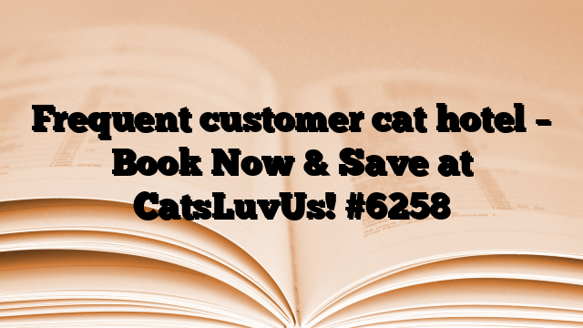 Frequent customer cat hotel – Book Now & Save at CatsLuvUs!