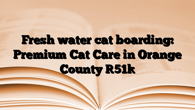 Fresh water cat boarding: Premium Cat Care in Orange County