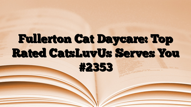 Fullerton Cat Daycare: Top Rated CatsLuvUs Serves You
