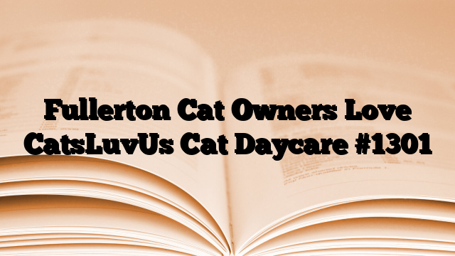 Fullerton Cat Owners Love CatsLuvUs Cat Daycare