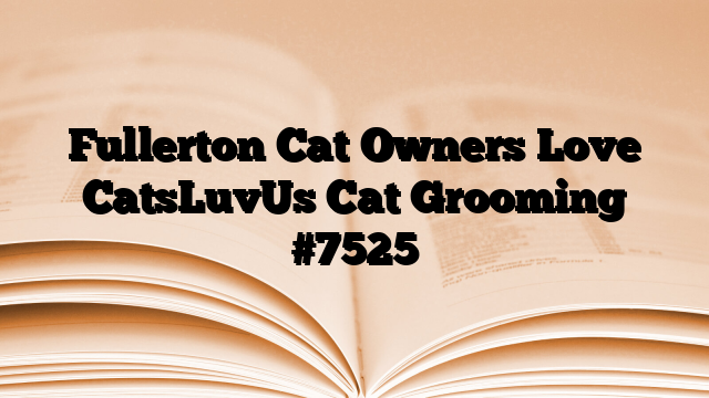 Fullerton Cat Owners Love CatsLuvUs Cat Grooming