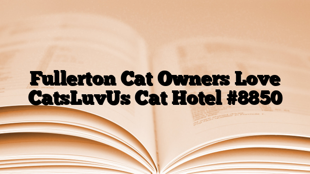 Fullerton Cat Owners Love CatsLuvUs Cat Hotel