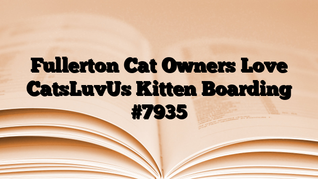 Fullerton Cat Owners Love CatsLuvUs Kitten Boarding