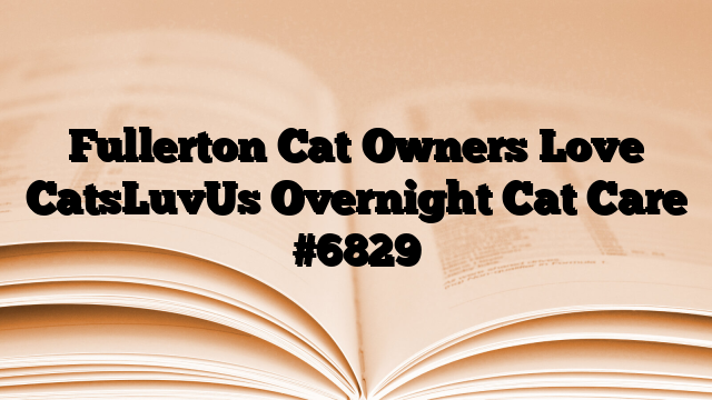 Fullerton Cat Owners Love CatsLuvUs Overnight Cat Care