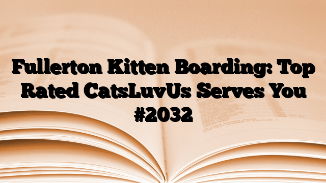 Fullerton Kitten Boarding: Top Rated CatsLuvUs Serves You