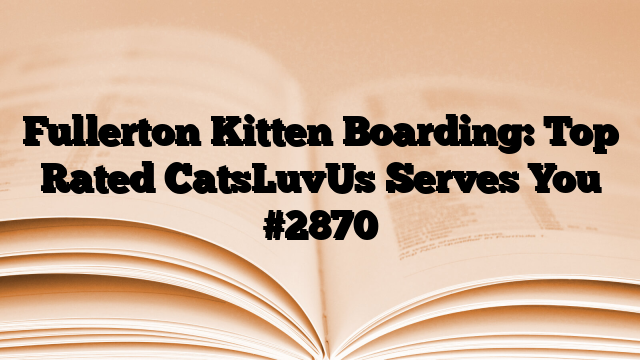 Fullerton Kitten Boarding: Top Rated CatsLuvUs Serves You