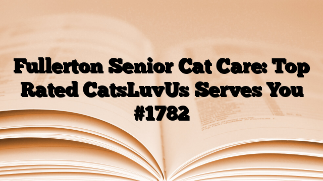 Fullerton Senior Cat Care: Top Rated CatsLuvUs Serves You