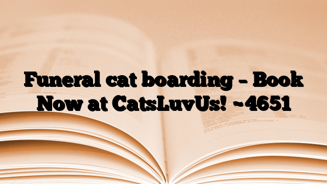 Funeral cat boarding – Book Now at CatsLuvUs!