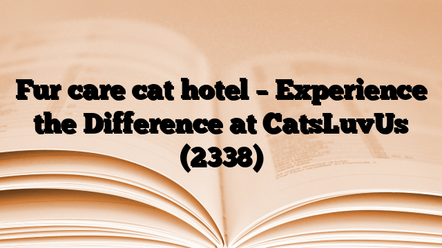 Fur care cat hotel – Experience the Difference at CatsLuvUs