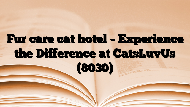 Fur care cat hotel – Experience the Difference at CatsLuvUs