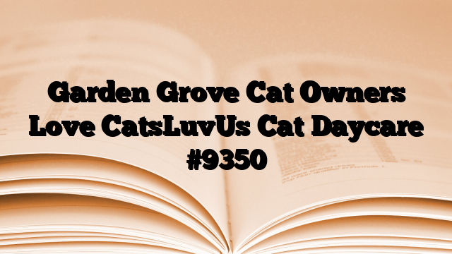 Garden Grove Cat Owners Love CatsLuvUs Cat Daycare