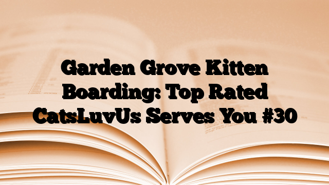 Garden Grove Kitten Boarding: Top Rated CatsLuvUs Serves You