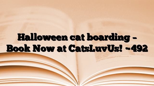 Halloween cat boarding – Book Now at CatsLuvUs!