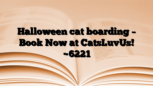 Halloween cat boarding – Book Now at CatsLuvUs!