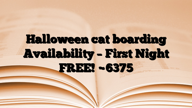 Halloween cat boarding Availability – First Night FREE!