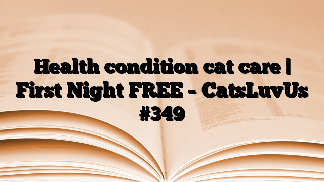 Health condition cat care | First Night FREE – CatsLuvUs