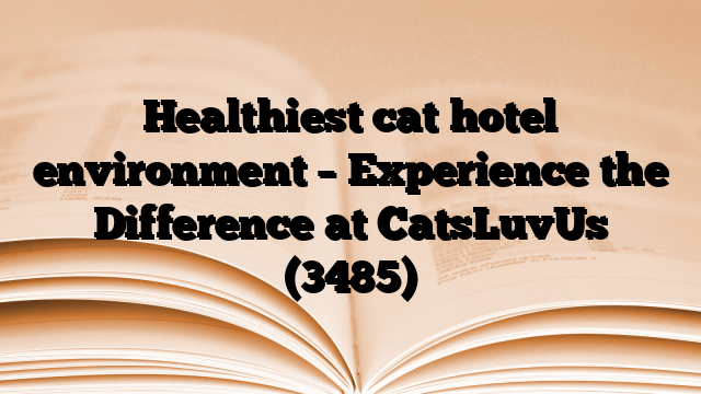 Healthiest cat hotel environment – Experience the Difference at CatsLuvUs
