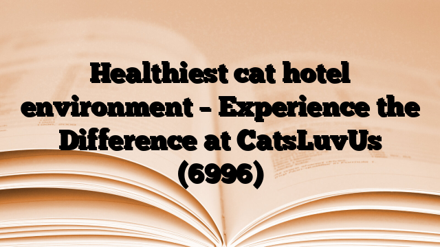 Healthiest cat hotel environment – Experience the Difference at CatsLuvUs