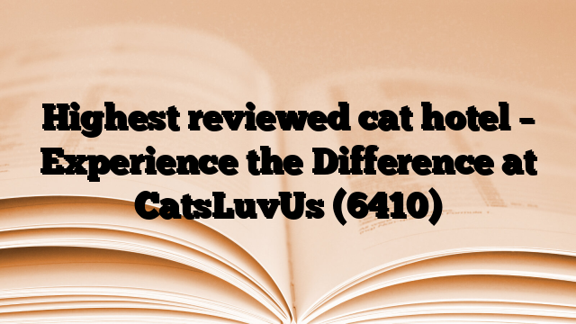 Highest reviewed cat hotel – Experience the Difference at CatsLuvUs