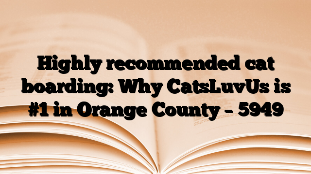 Highly recommended cat boarding: Why CatsLuvUs is #1 in Orange County