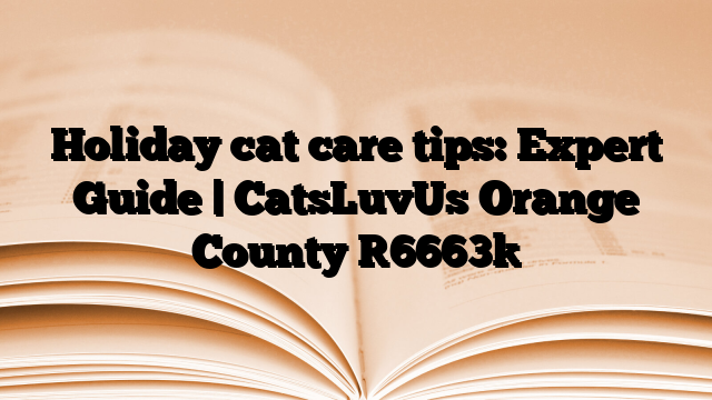 Holiday cat care tips: Expert Guide | CatsLuvUs Orange County
