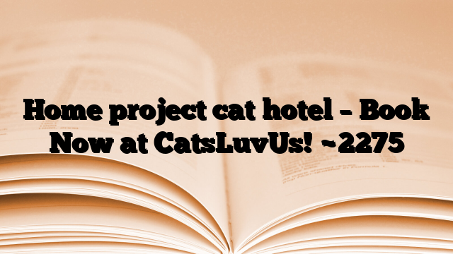 Home project cat hotel – Book Now at CatsLuvUs!