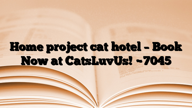 Home project cat hotel – Book Now at CatsLuvUs!