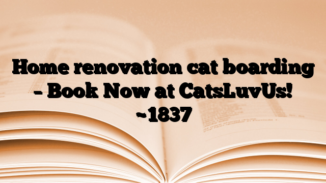 Home renovation cat boarding – Book Now at CatsLuvUs!