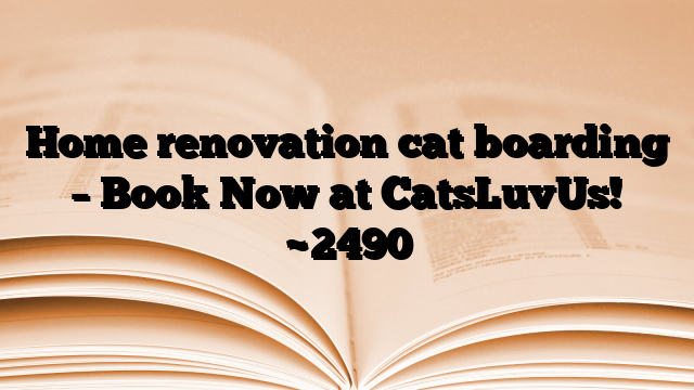 Home renovation cat boarding – Book Now at CatsLuvUs!