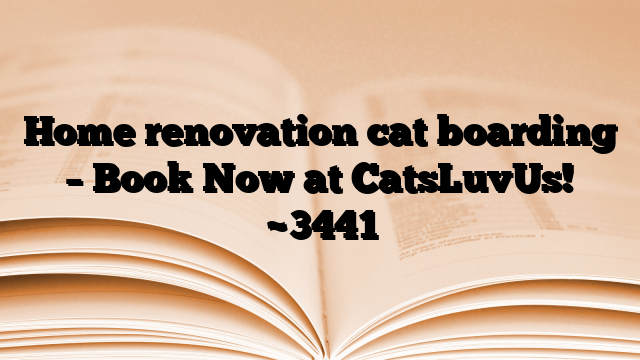 Home renovation cat boarding – Book Now at CatsLuvUs!