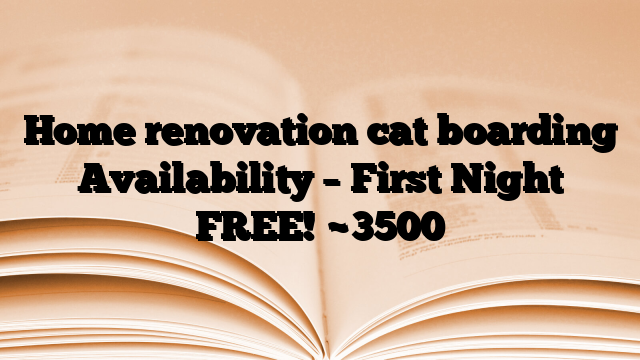 Home renovation cat boarding Availability – First Night FREE!