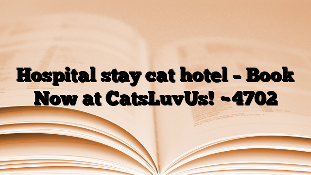 Hospital stay cat hotel – Book Now at CatsLuvUs!