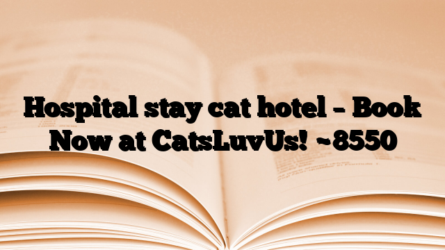 Hospital stay cat hotel – Book Now at CatsLuvUs!