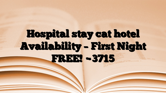 Hospital stay cat hotel Availability – First Night FREE!