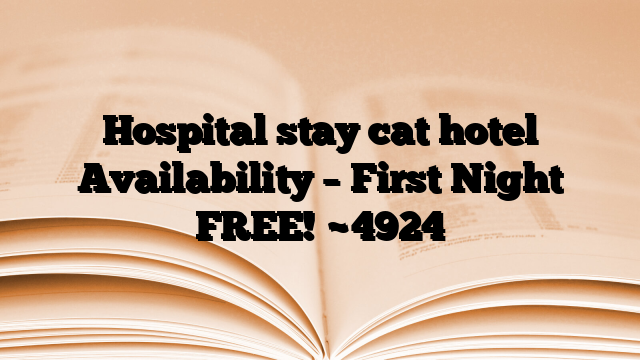 Hospital stay cat hotel Availability – First Night FREE!