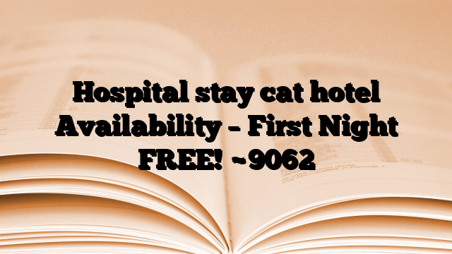 Hospital stay cat hotel Availability – First Night FREE!